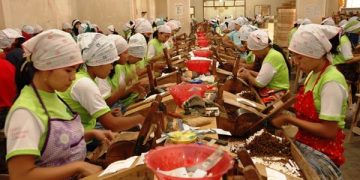 Gagal Kendalikan Tembakau, Bisnis Rokok Merajarela