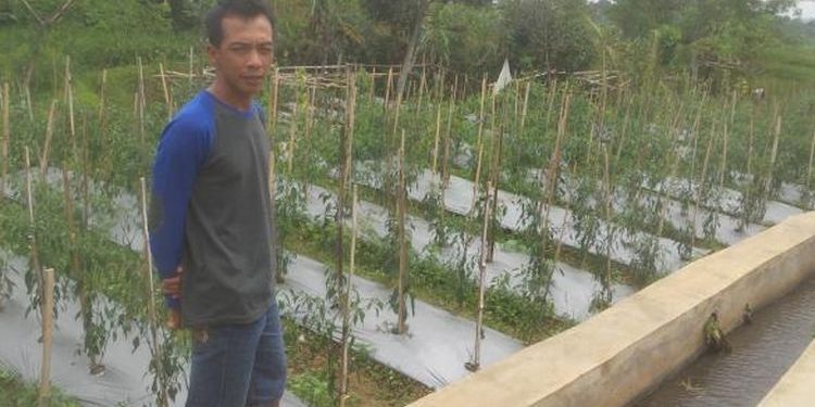 Cerita Petani soal Tengkulak Tembakau di Temanggung