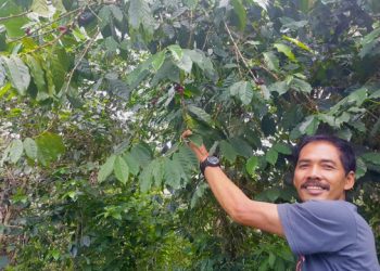 Kala Tata Niaga Buruk sampai Ancaman Bencana Dorong Petani Tembakau Klaten Beralih ke Tanaman Lain (Bagian 2)