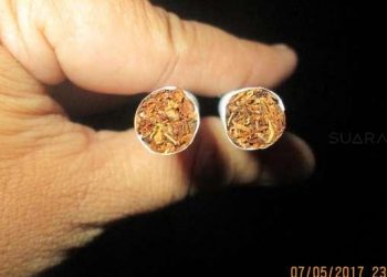 Keganjilan Pengendalian Tembakau dan Keterlibatan Mantan Pejabat