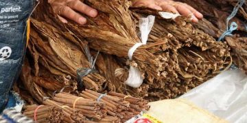 Tarik Ulur RUU Pertembakauan, Ada Intervensi Korporasi?