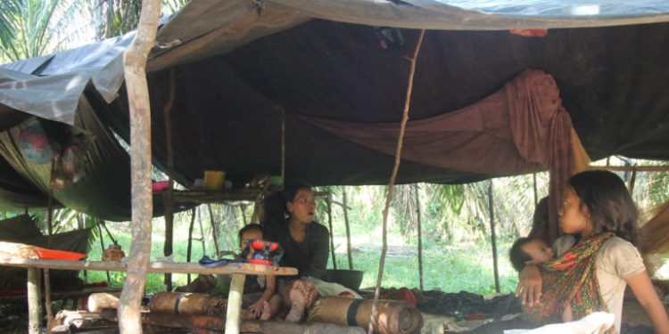 Hutan Hilang, Orang Rimba Hadapi Masalah Kesehatan