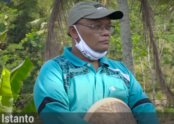 Lebih Untung, Jadi Alasan Petani Alih Tanam Tembakau ke Ubi Jalar