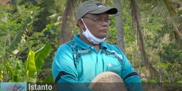 Lebih Untung, Jadi Alasan Petani Alih Tanam Tembakau ke Ubi Jalar