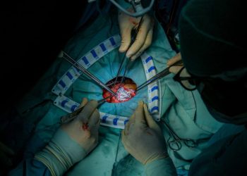 Ganja Medis Tetap Harus Ada Regulasi