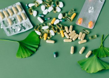 Berburu ‘Ginseng’ Asal Indonesia untuk Obat dan Makanan