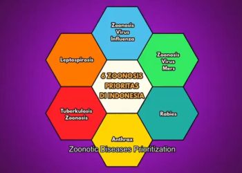 Leptospirosis dan Urgensi Pencegahan Zoonosis di Indonesia