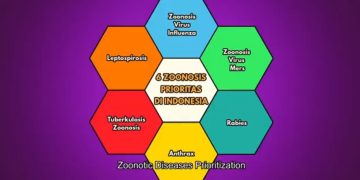 Leptospirosis dan Urgensi Pencegahan Zoonosis di Indonesia