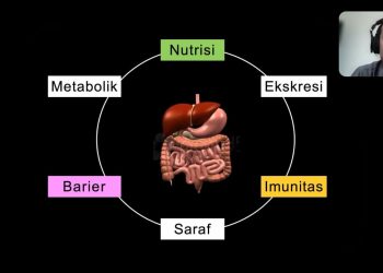 Lebaran Selesai, Waspada Penyakit Saluran Cerna Pada Anak
