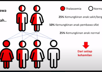 Prevalensi Thalassemia di Indonesia Tinggi, Ini Buktinya