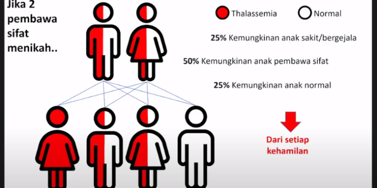 Prevalensi Thalassemia di Indonesia Tinggi, Ini Buktinya