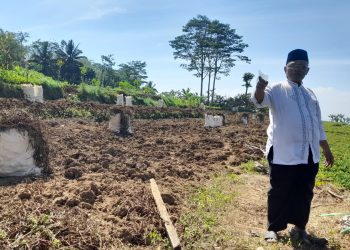 Tak Lagi Tanam Tembakau, Petani Windusari Sukses Raup Omzet Berlipat Ganda