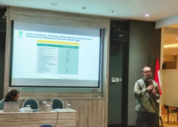 PLTU Batubara di Kawasan Industri Hijau, Celios: Kontradiksi Pembangunan