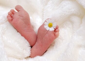 Isu Kependudukan Jadi Fokus di Konferensi Internasional