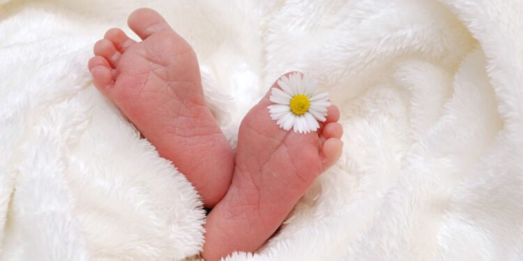 Isu Kependudukan Jadi Fokus di Konferensi Internasional