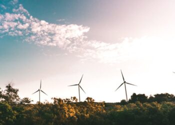 Komitmen China atas Pembangunan Hijau Masih Dipertanyakan