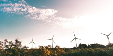 Komitmen China atas Pembangunan Hijau Masih Dipertanyakan