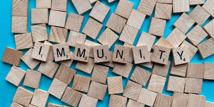 Dampak Rokok pada Kekebalan Tubuh