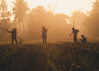 INFOGRAFIS: Indonesia Bukan Produsen Tembakau Terbesar di Dunia