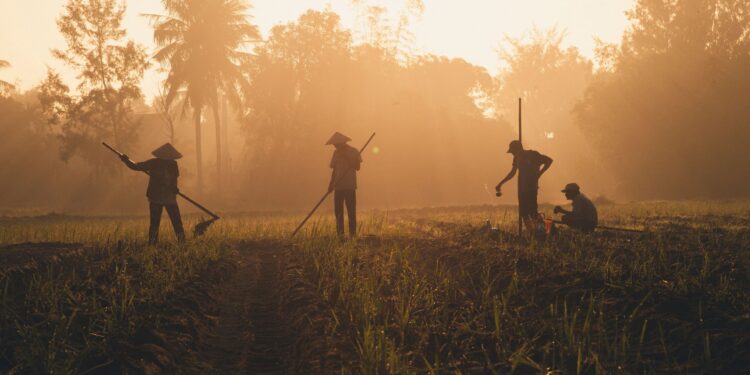 INFOGRAFIS: Indonesia Bukan Produsen Tembakau Terbesar di Dunia