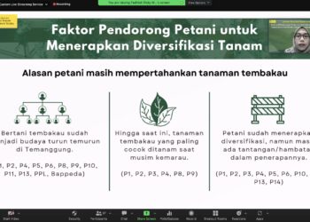 PKJS UI Luncurkan Riset Petani Tembakau dan Tantangan Diversifikasi