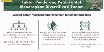 PKJS UI Luncurkan Riset Petani Tembakau dan Tantangan Diversifikasi