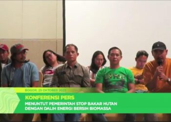 Solusi Palsu Biomassa untuk Energi Bersih