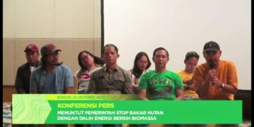 Solusi Palsu Biomassa untuk Energi Bersih