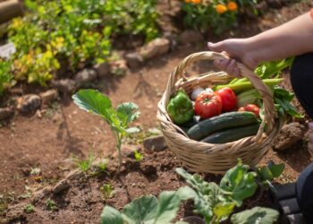 Masyarakat Perlu Manfaatkan Taman untuk Kesehatan