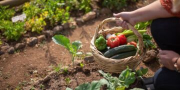 Masyarakat Perlu Manfaatkan Taman untuk Kesehatan