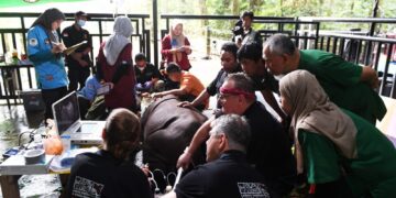 Inovasi Bayi Tabung Badak, Upaya Lestarikan Badak Sumatra di Kalimantan