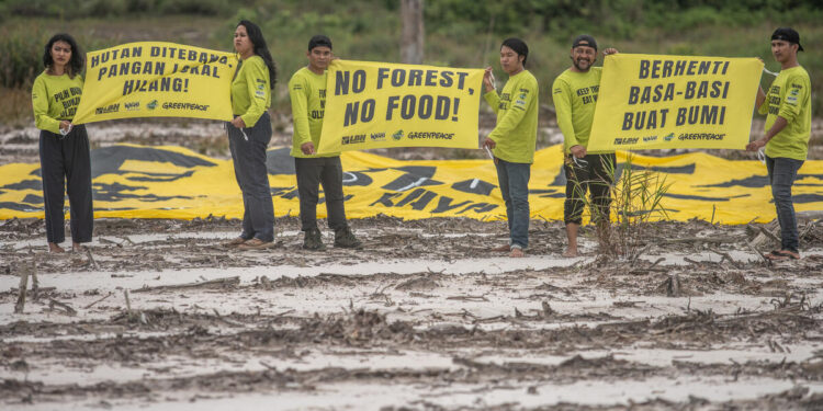 COP28 dan Ambiguitas Penanganan Masalah Lingkungan di Indonesia