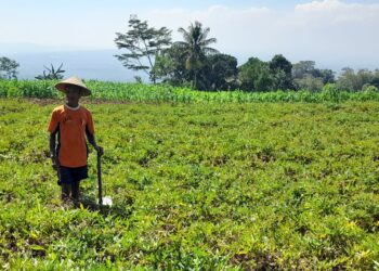 RPP KESEHATAN: Intervensi Industri Makin Kuat