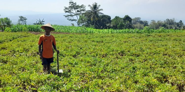 RPP KESEHATAN: Intervensi Industri Makin Kuat