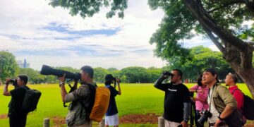 Pentingnya Mengenali Jenis Burung di Dunia