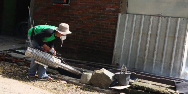 Cegah DBD Prioritas di Wilayah Pascabanjir