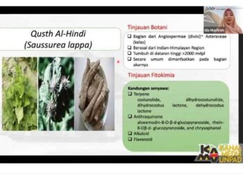 Guru Besar Fakultas Farmasi Universitas Padjadjaran Prof. Ida Musfiroh menjadi pembicara pada diskusi Satu Jam Berbincang Ilmu (Sajabi) “Potensi Qusth Al-Hindi sebagai Antiradang” yang diselenggarakan Dewan Profesor Unpad secara daring, Sabtu (2/3/2024). Dok. Prohealth.id