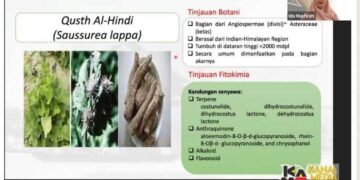 Guru Besar Fakultas Farmasi Universitas Padjadjaran Prof. Ida Musfiroh menjadi pembicara pada diskusi Satu Jam Berbincang Ilmu (Sajabi) “Potensi Qusth Al-Hindi sebagai Antiradang” yang diselenggarakan Dewan Profesor Unpad secara daring, Sabtu (2/3/2024). Dok. Prohealth.id