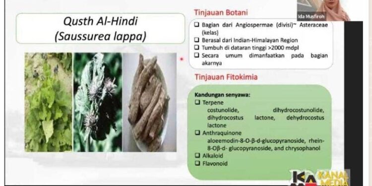 Guru Besar Fakultas Farmasi Universitas Padjadjaran Prof. Ida Musfiroh menjadi pembicara pada diskusi Satu Jam Berbincang Ilmu (Sajabi) “Potensi Qusth Al-Hindi sebagai Antiradang” yang diselenggarakan Dewan Profesor Unpad secara daring, Sabtu (2/3/2024). Dok. Prohealth.id