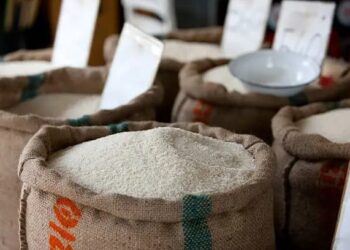 Ilustrasi gambar beras. Dok. Humas Unair