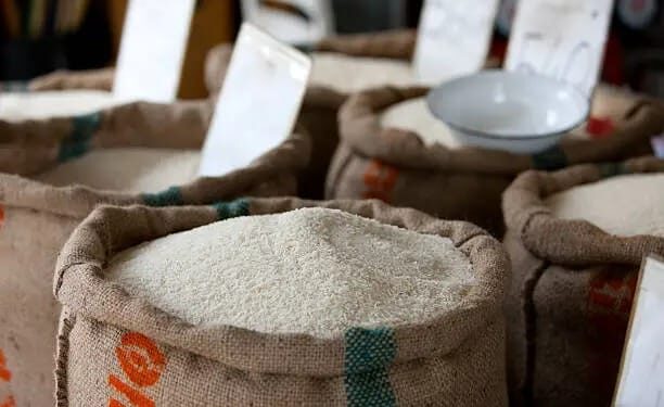 Ilustrasi gambar beras. Dok. Humas Unair