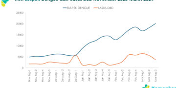 Tren Kasus DBD Periode November 2023-Maret 2024. Dok. Humas Kemenkes