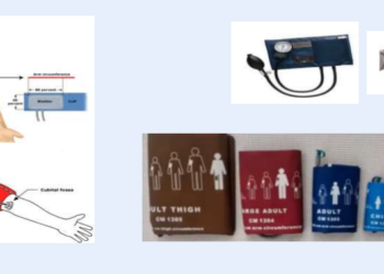 MUDIK 2024: Pos Kesehatan Kemenkes Laporkan Sejumlah Temuan Penyakit