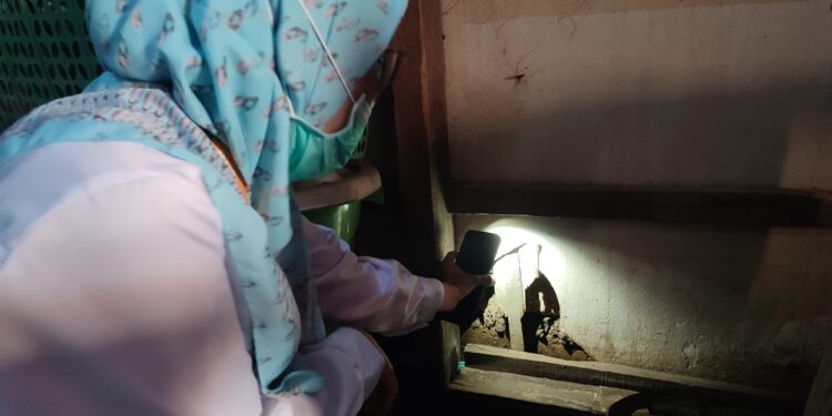 Menyisir Jejak Tikus dan Ancaman Leptospirosis di Demak