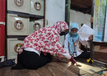 Combing Rat Tracks and the Threat of Leptospirosis in Demak