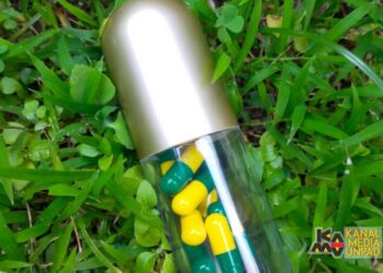 Memanfaatkan Sisa Olahan Ikan Bandeng