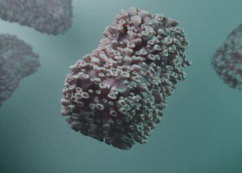 Pengelola Bandara Siapkan Kewaspadaan Mpox