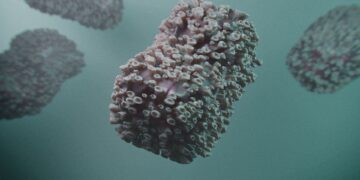 Pengelola Bandara Siapkan Kewaspadaan Mpox