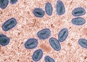 WHO-Kemenkes, Pantau Patogen Berpotensi Pandemi