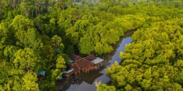 HARI LAHAN BASAH SEDUNIA: Kunci Capai Target Pengurangan Emisi